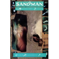 Sandman 7 (1990) 