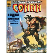 A Espada Selvagem de Conan 2 (1984)