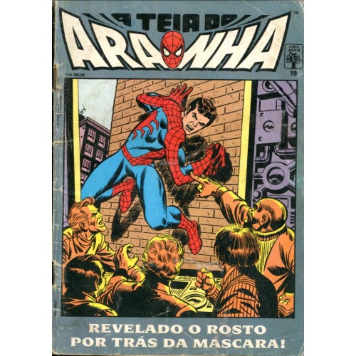 A Teia do Aranha 19 (1991)