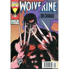 Wolverine 40 (1995)
