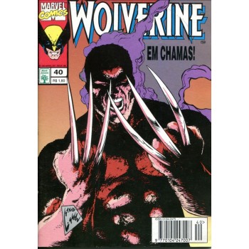 Wolverine 40 (1995)