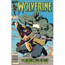 Wolverine 14 (1989)